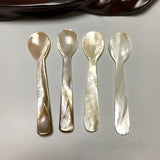 Natural Shell Spoon