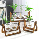 Vintage Transparent Vase Wooden Frame Vase