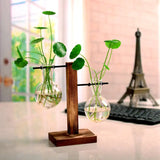 Vintage Transparent Vase Wooden Frame Vase