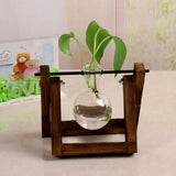 Vintage Transparent Vase Wooden Frame Vase