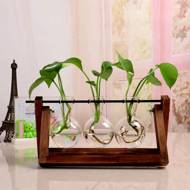 Vintage Transparent Vase Wooden Frame Vase