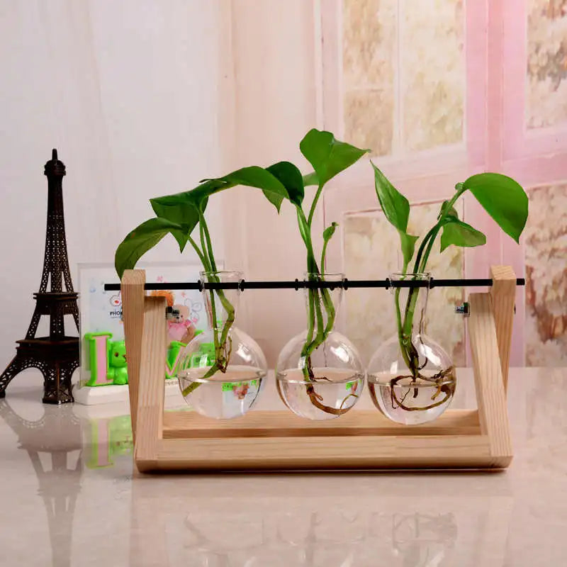 Vintage Transparent Vase Wooden Frame Vase