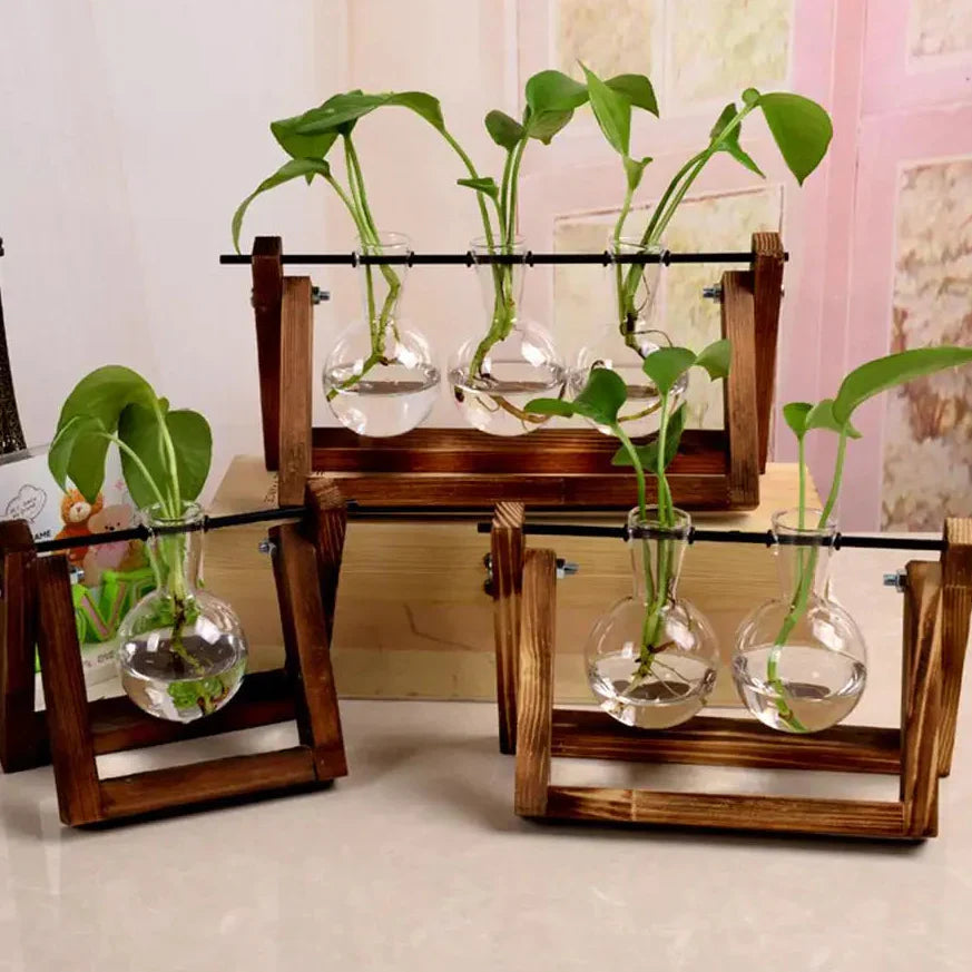 Vintage Transparent Vase Wooden Frame Vase