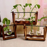 Vintage Transparent Vase Wooden Frame Vase