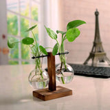 Vintage Transparent Vase Wooden Frame Vase