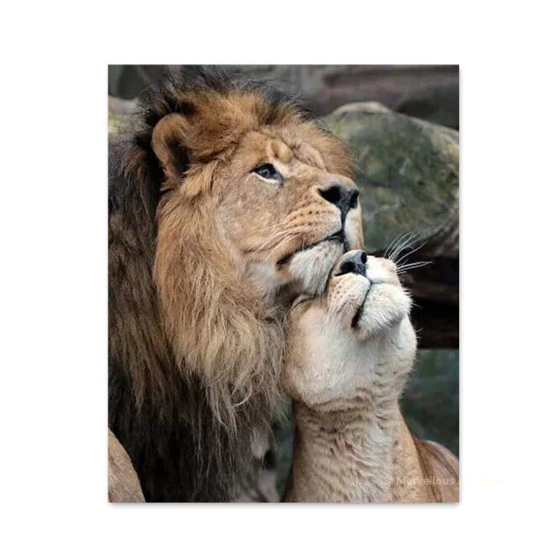 Black White Animals Baby Lion Family Poster