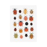 Butterfly Caterpillar Spring Posters