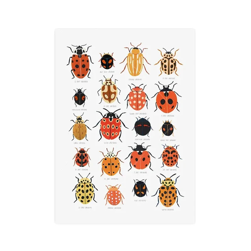 Butterfly Caterpillar Spring Posters