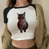 Casual White Basic Cat Print T-Shirt