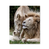 Black White Animals Baby Lion Family Poster