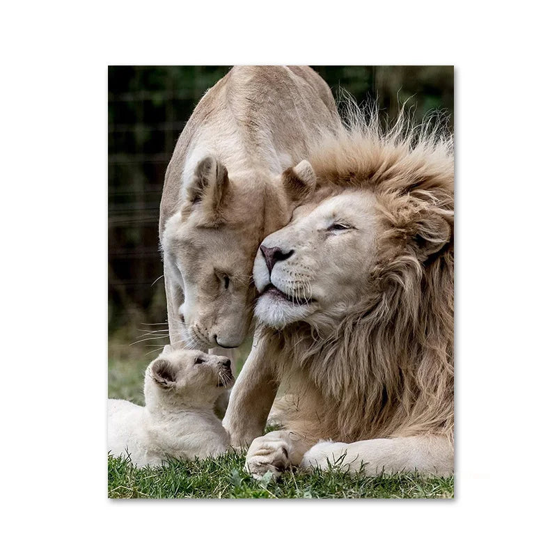 Black White Animals Baby Lion Family Poster