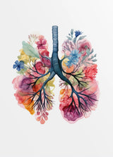 Anatomy Of Human Organs Posters