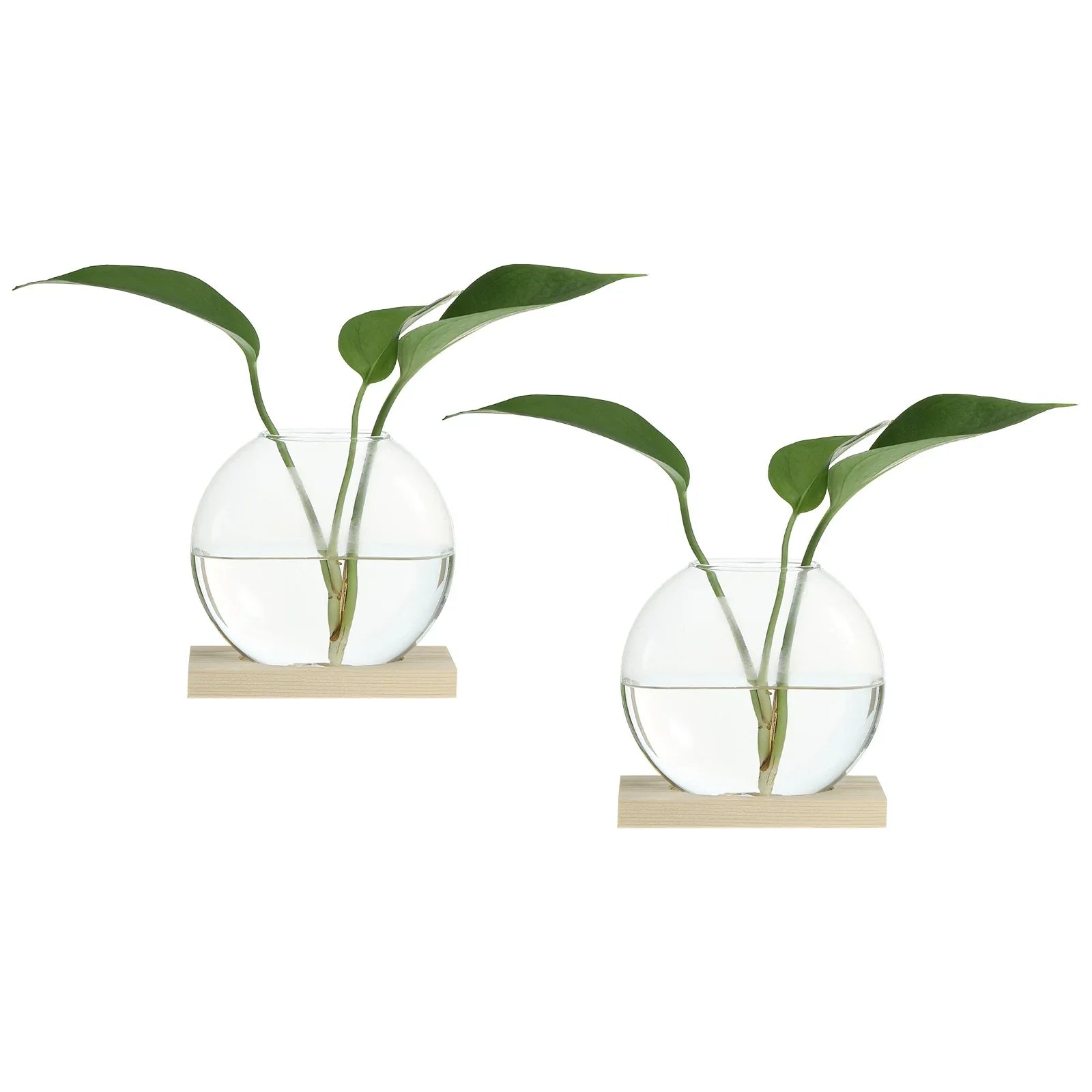Vintage Glass Vase with Wooden Tray Bud