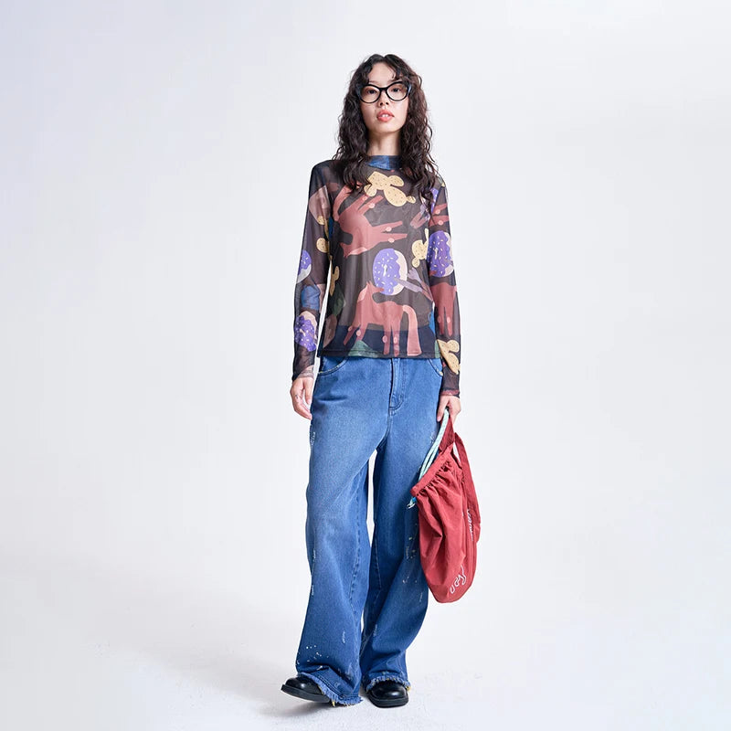 Indie Aesthetic Mesh Long Sleeve Top