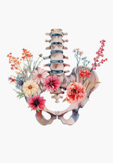 Anatomy Of Human Organs Posters