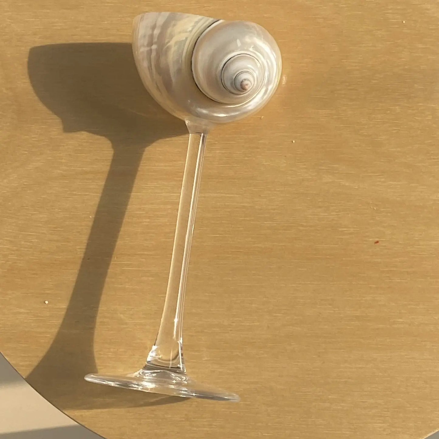 Shell Wine Glass