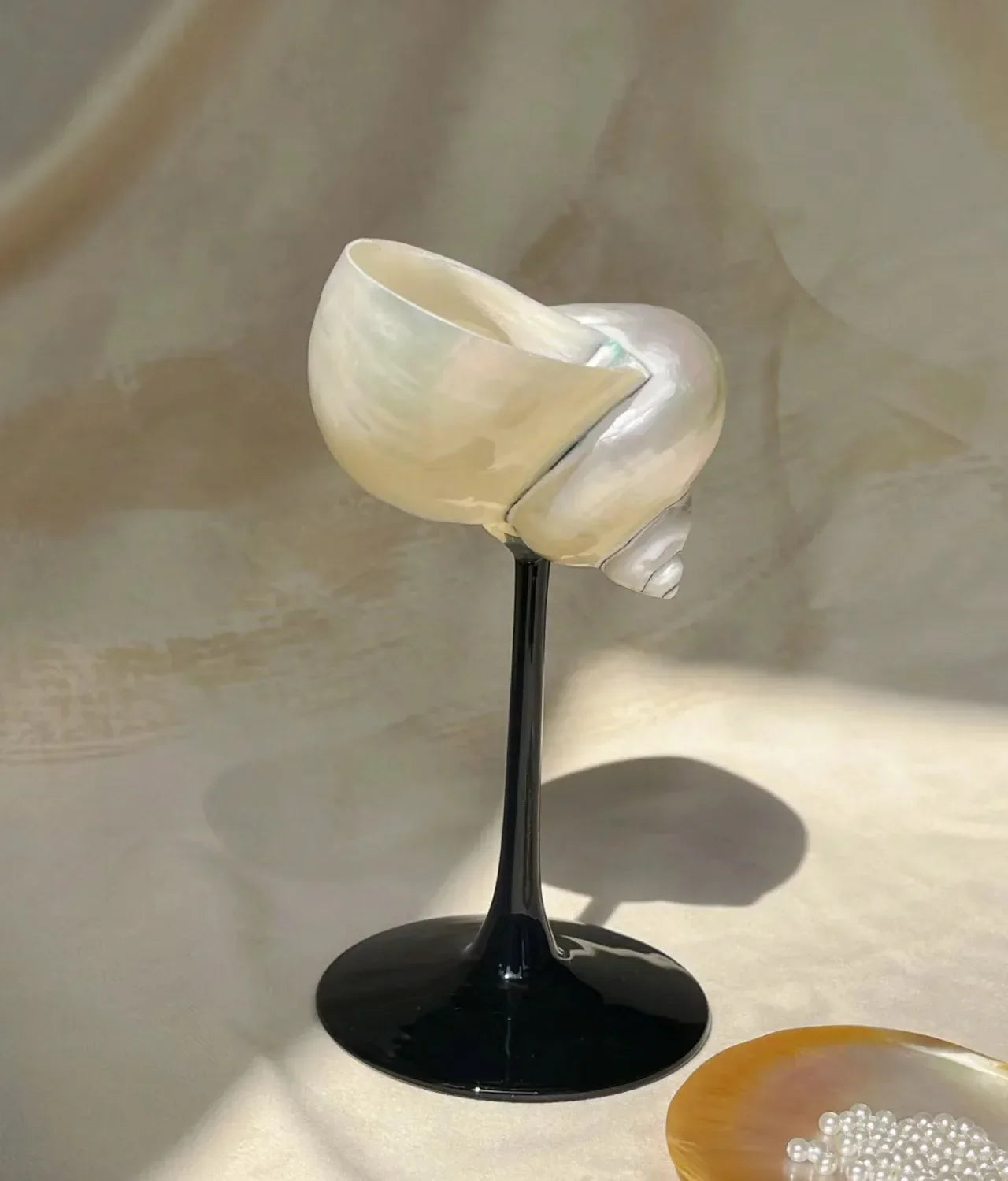 Shell Wine Glass