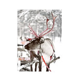 Merry Christmas Poster