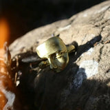 Mystical Open Face Masked Rings