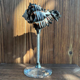 Shell Wine Glass