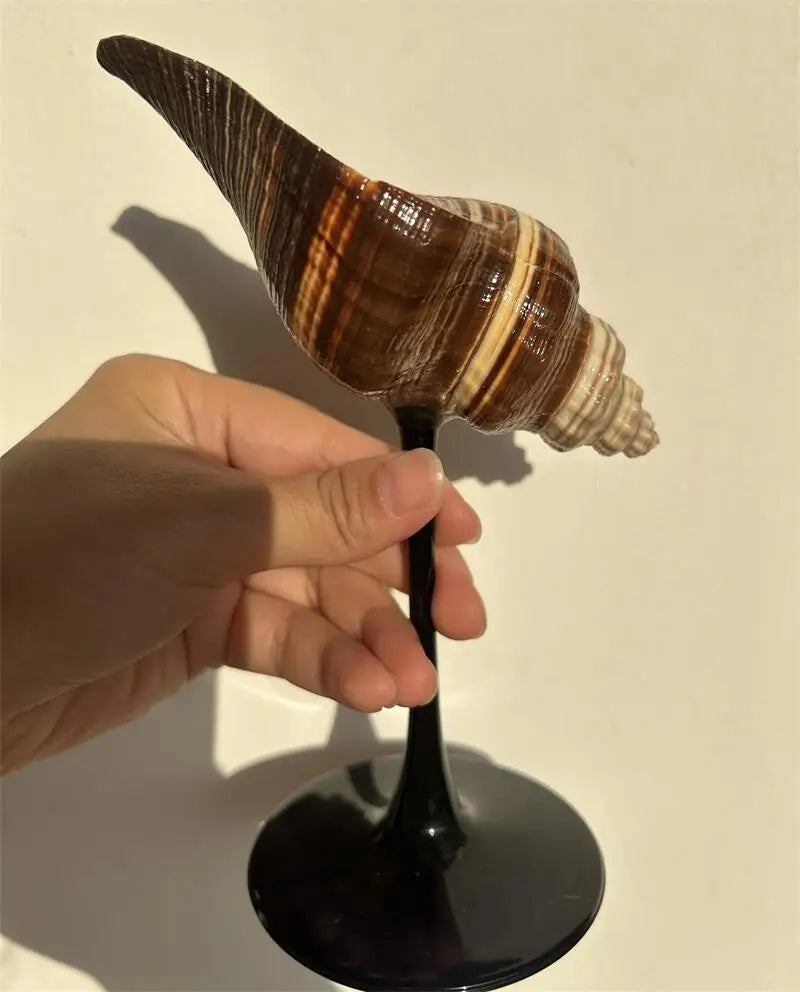 Shell Wine Glass