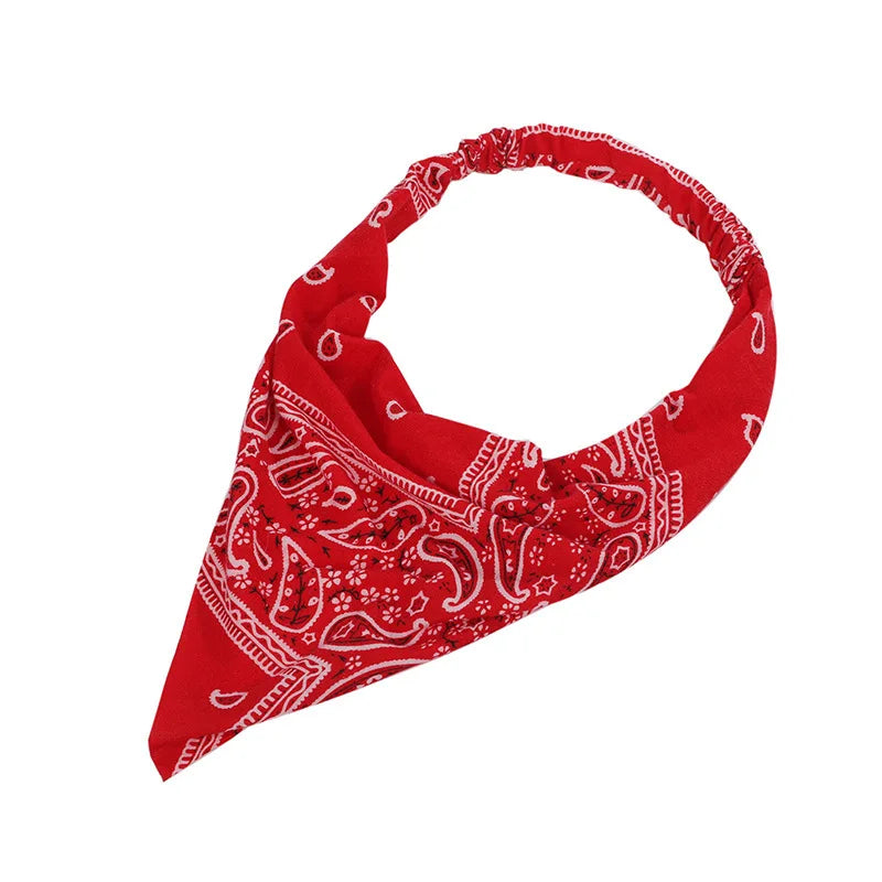 Summer Concert Paisley Elastic Headbands