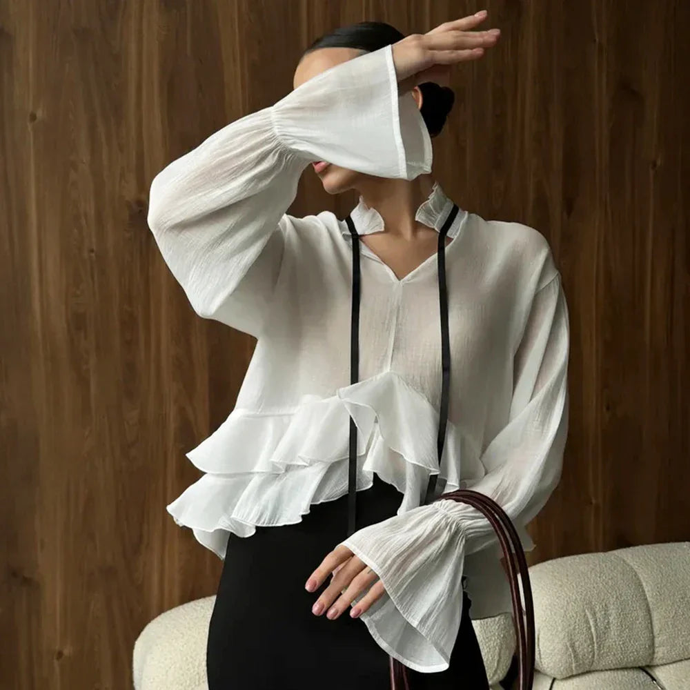 Transparent Ruffle Long Sleeve Coquette Blouses