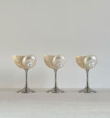Shell Wine Glass