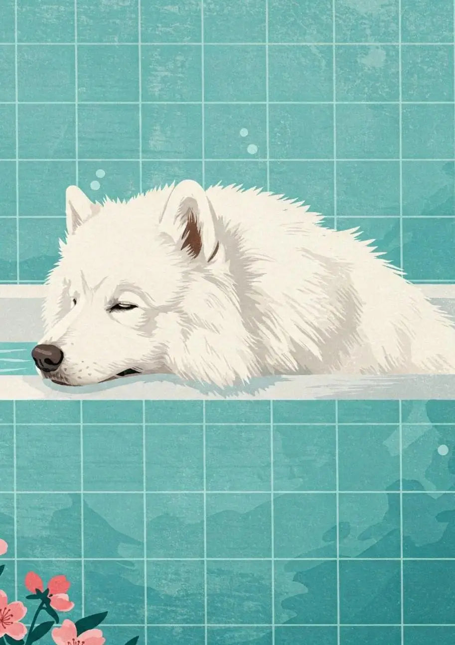 Süße Tiere Poster