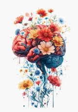 Anatomy Of Human Organs Posters