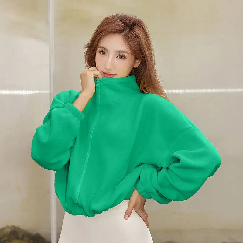 Stand Collar Crop Sweatshirt