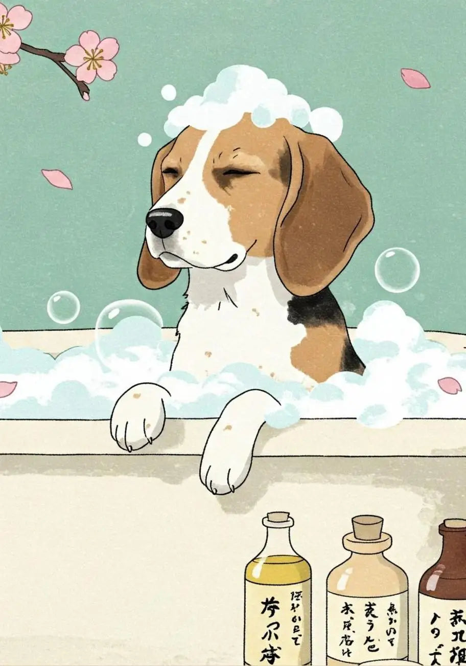 Süße Tiere Poster