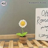 Crochet Knitted Potted Flowers Homemade