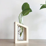 Test Tube Vintage Glass Vase Plant
