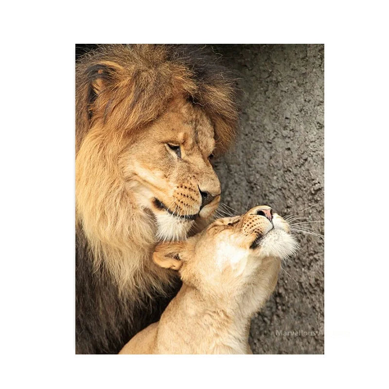 Black White Animals Baby Lion Family Poster