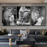Black White Animals Baby Lion Family Poster