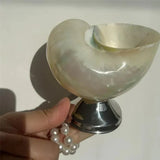 Shell Wine Glass