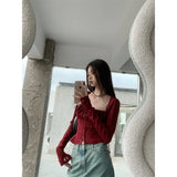 Red Wine Sqaure Neck Mesh Long Sleeve Top