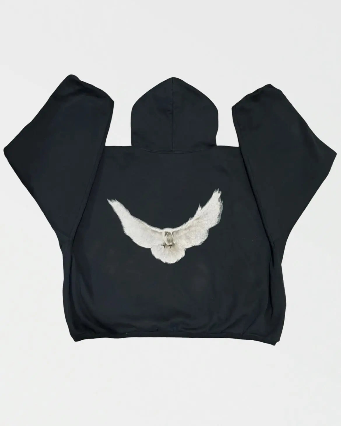 Retro Pigeon Graphic Print Hoodie