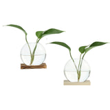 Vintage Glass Vase with Wooden Tray Bud