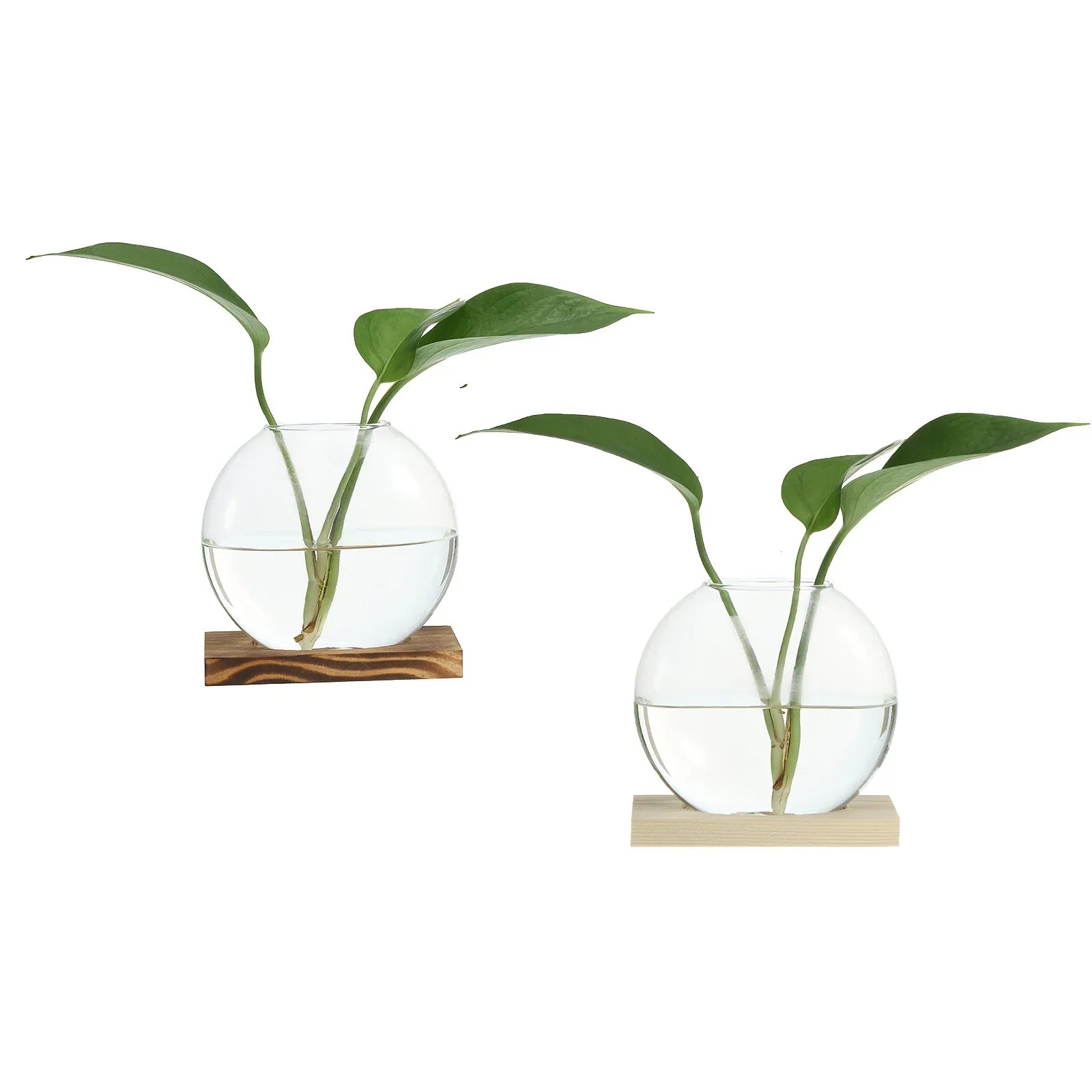 Vintage Glass Vase with Wooden Tray Bud