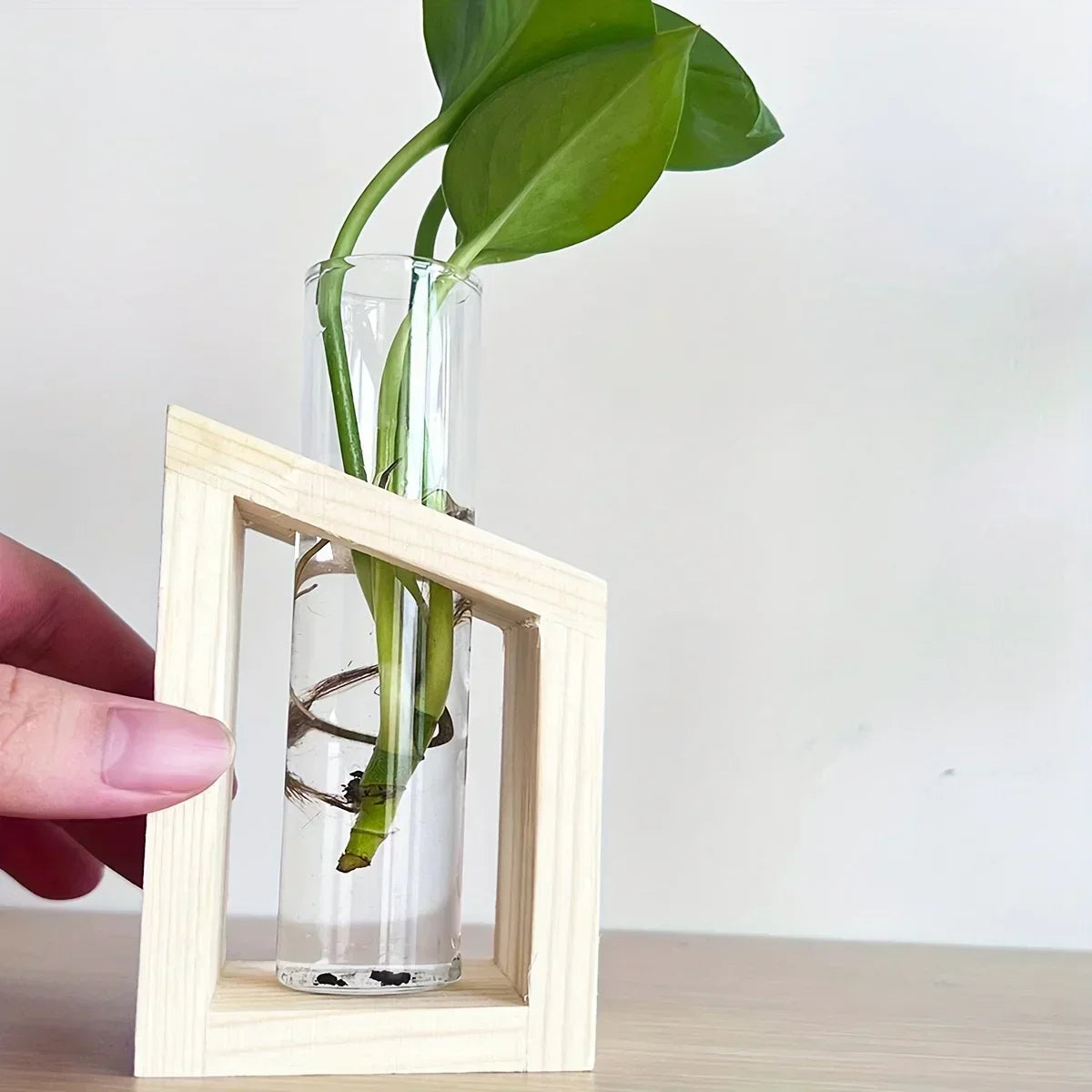 Test Tube Vintage Glass Vase Plant