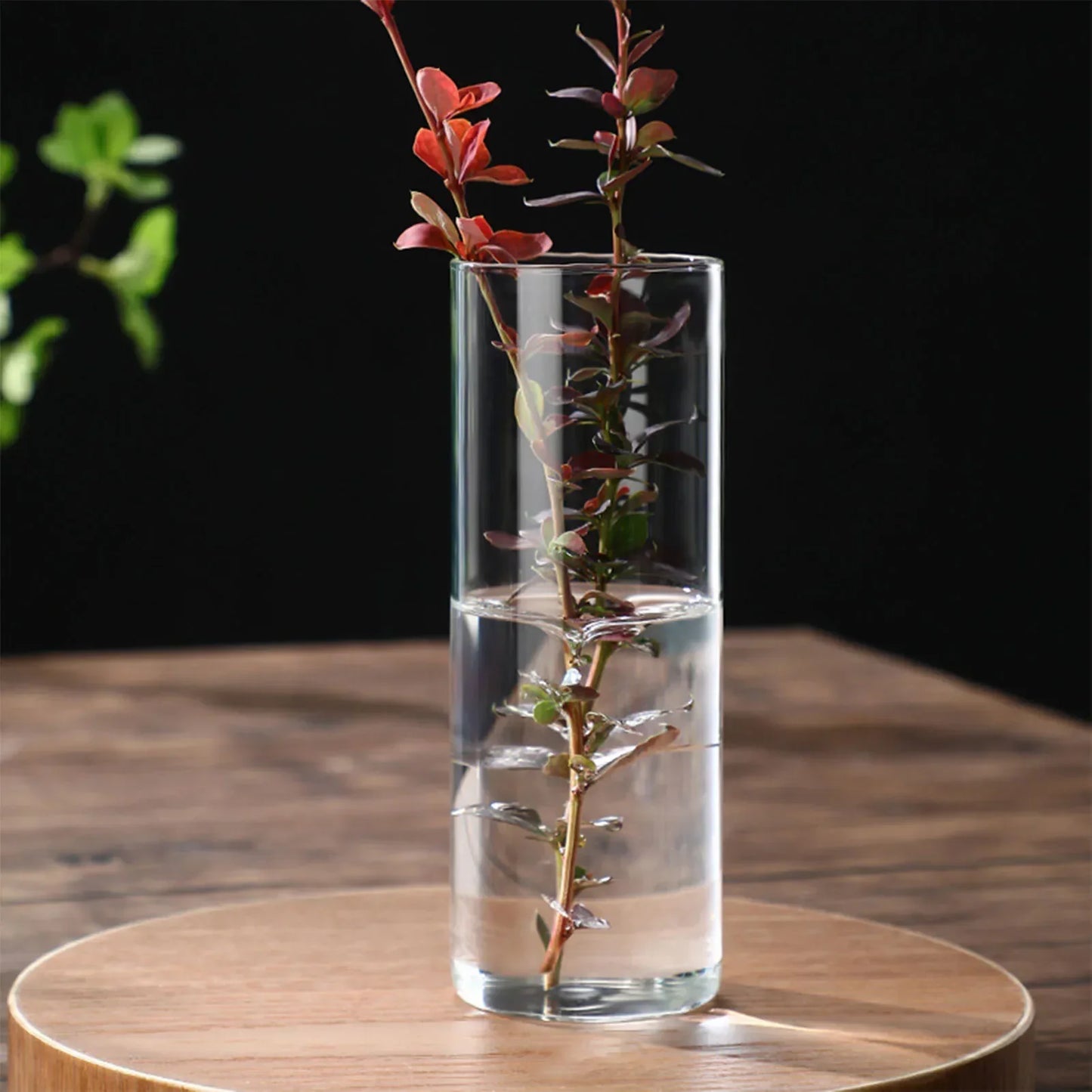 Vintage Minimalist Glass Vase Cylinder Flower