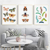 Butterfly Caterpillar Spring Posters