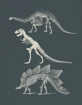 Vintage Dinosaur Chart Posters