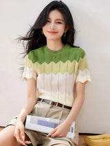 Chic Korean Knitted Short Top