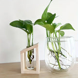 Test Tube Vintage Glass Vase Plant