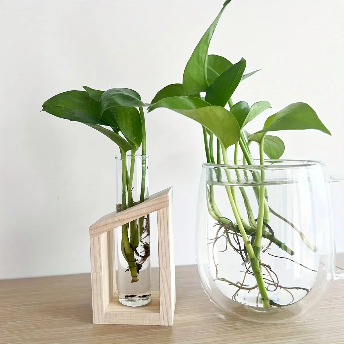 Test Tube Vintage Glass Vase Plant