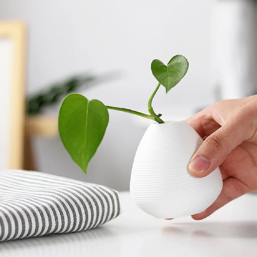 Jarrón Vintage de Cerámica para Plantas Hidropónicas