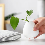 Jarrón Vintage de Cerámica para Plantas Hidropónicas
